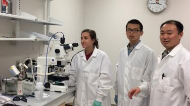 Temperature- Controlled Microscopy Used to Study Multiscale Biomaterials to Engineer Living Cells and Tissues